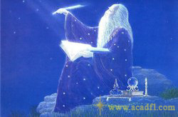 Чему стоит учиться в жизни