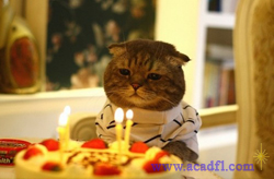 Одиночество